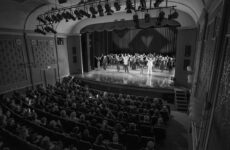 Gouden Dans Danzon Meppel